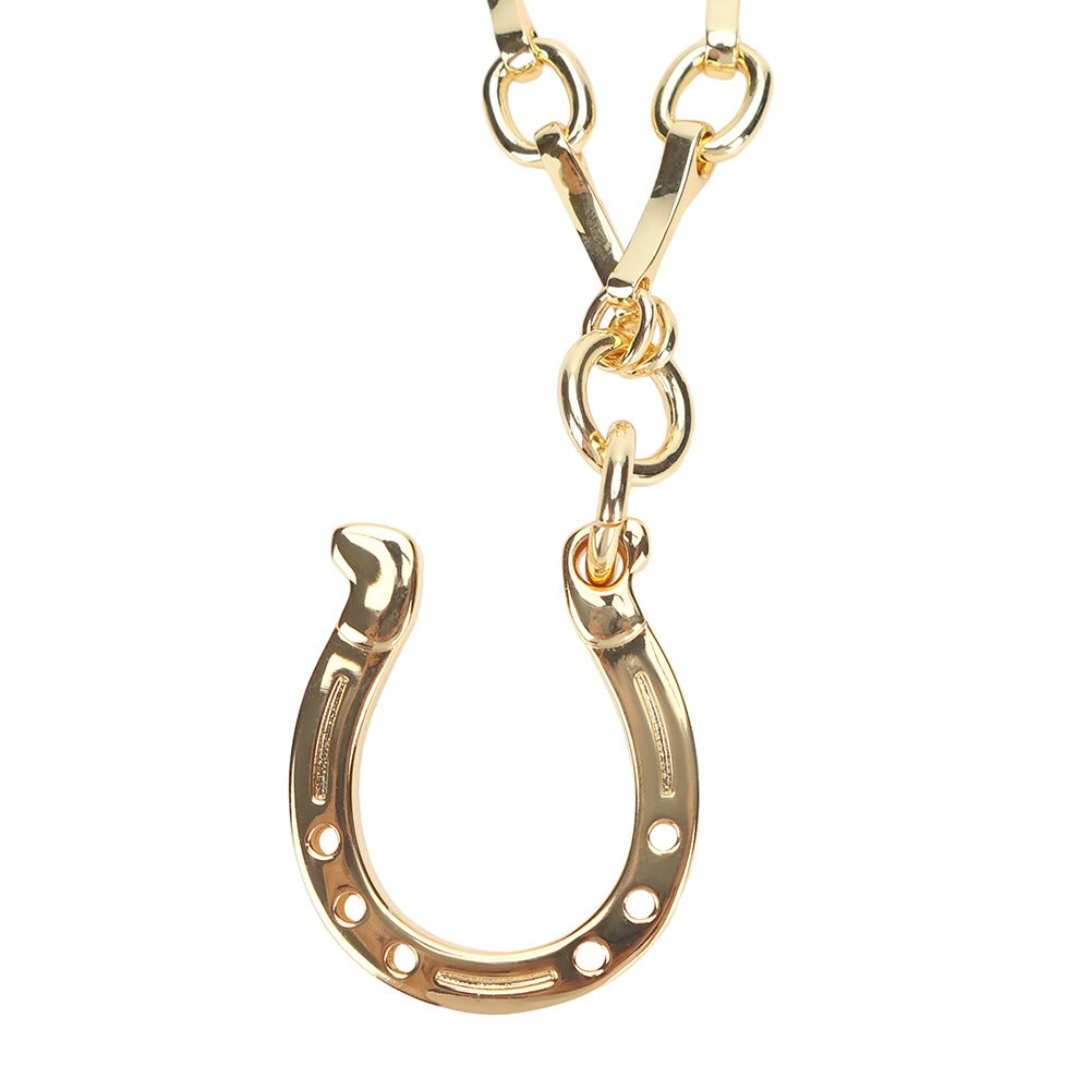 Horseshoe Necklace